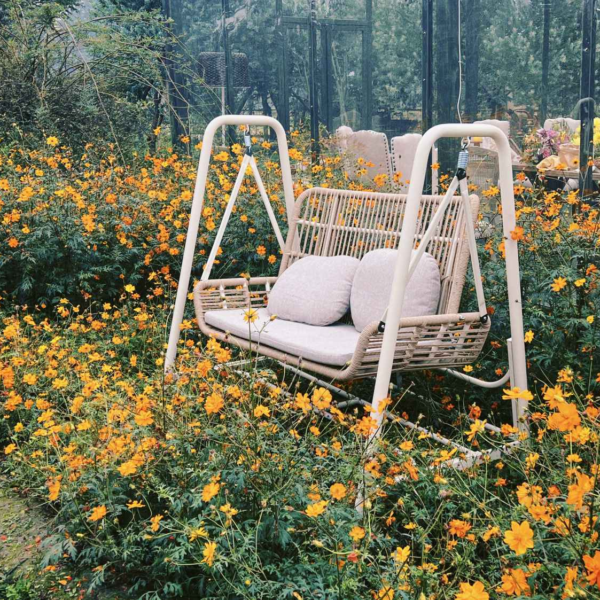 Free double swing