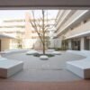 Fiberglass Pebble Seating Organic Shaped for Art Gallery | Commercial Grade - Image 3