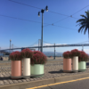 Modular Commercial Cluster Planters for Pedestrian Zones — Urban Furniture Factory Direct - Image 2