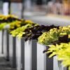 Modern Metal Street Planter Box Powder Coated for Urban Sidewalk | Commercial Grade - Image 5
