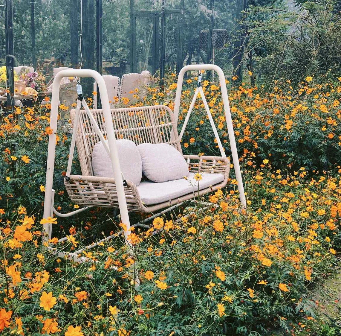 Free double swing - Image 2