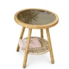 Shell Lounge Chair - Image 4