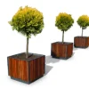 Commercial Wood Planter Box Wholesale for Urban Plaza | Contract Grade